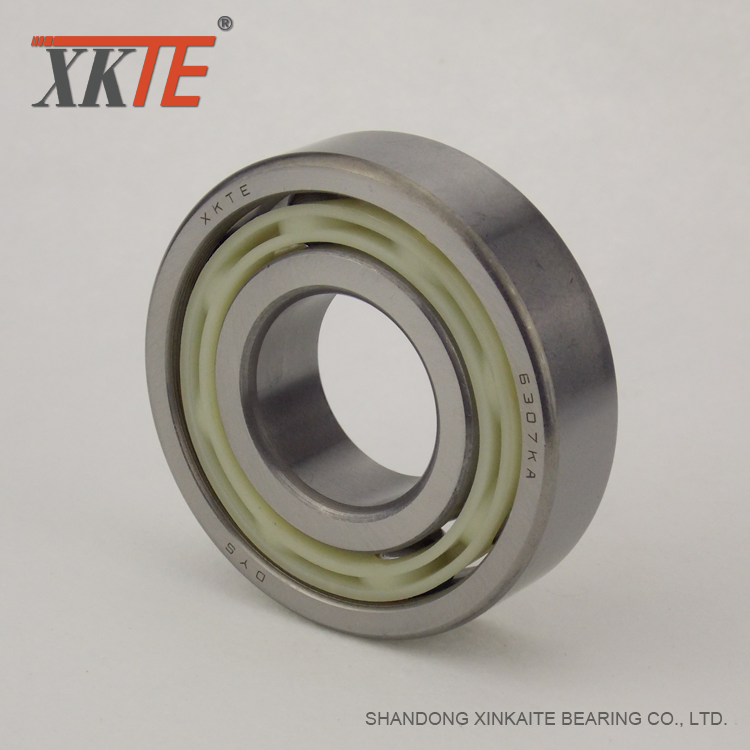 6307 Nylon Bearing